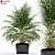 Green Oasis: 149 Varieties 3D model small image 1
