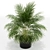Green Oasis: 149 Varieties 3D model small image 2