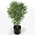152 Plants Collection: Poly 389412, Verts 235737 3D model small image 2