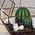 Mini Glass Terrariums with Cacti & Candle 3D model small image 2