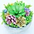 Sleek Succulent Plant Pot 3D model small image 2