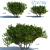 Versatile Exterior Bushes: 3 Models 3D model small image 1