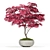 Botanical Treasure Collection 3D model small image 2
