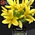 Not required to translate description as it is already in English.

Elegant Lily Bouquet Vase 3D model small image 2