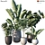  Lush Greenery Plant Set 3D model small image 1