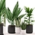 Tropical Paradise: Aloe Vera, Palm Plant & Black/White Pot 3D model small image 1