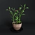 Spanish Homegrown Pepper 3D model small image 1