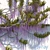 Wisteria - Beautiful Geometric Foliage 3D model small image 2