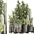 Exotic Plant Collection 3D model small image 1