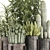 Exotic Plant Collection 3D model small image 2