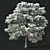 Snow-covered Pinus sylvestris: Twin Tree Set 3D model small image 2