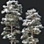 Snowy Pine Tree Set: Realistic Winter Pinus Sylvestris 3D model small image 2