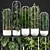Exotic Indoor Plant Collection 3D model small image 1
