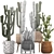 Exotic Houseplant Collection: Cacti & Prickly Pear 3D model small image 3