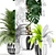 179 Plant Collection: Poly 1.22M, Verts 721K 3D model small image 2