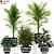 Nature's Oasis: 181 Exquisite Plants 3D model small image 1