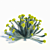 Blooming Euphorbia Rigida: Gopher Plant Trio 3D model small image 3