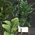 Exotic Houseplants Collection 3D model small image 2