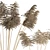 Realistic Dry Reed - Lifelike Texture! 3D model small image 2