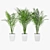 Trio of Potted Palms 3D model small image 1