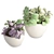 Modern Interior Flower Pot Set 3D model small image 1