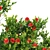 Pohutukawa 3: Brilliant Coastal Beauty 3D model small image 3