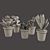 Vibrant Cactus Pot Set: Maziye Model 3D model small image 3