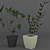 Sina Model: Elegant Indoor Plant 3D model small image 2