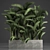 Exotic Houseplant Collection 3D model small image 1