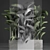 Exotic Houseplant Collection 3D model small image 3