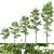 Tilia europaea Pack: 5 Forest Trees 3D model small image 1