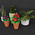 Vibrant Blooms Collection 3D model small image 1