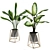 Exquisite Plant Collection 3D model small image 1