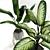 Exquisite Plant Collection 3D model small image 2