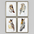 Bubo Picture: 3D Archive & Textures 3D model small image 1