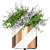 Botanical Delights  Lush Greenery 190 3D model small image 3