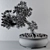 Small Bonsai Pine Tree 3D model small image 3