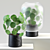 Golden Pilea: Chinese Treasure 3D model small image 1