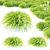 Hakonechloa Skinny Grass | Ornamental Grass 3D model small image 1