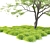 Hakonechloa Skinny Grass | Ornamental Grass 3D model small image 3