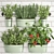 Exotic Kitchen Plant Collection 3D model small image 1