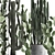 Exotic Cacti Collection 3D model small image 2