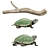 Reptile Haven: Turtle Terrarium 3D model small image 2