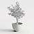 Elegant Ficus Tree - 430mm Height 3D model small image 3