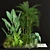 198 Plants Collection: Variety and Beauty 3D model small image 2