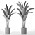 Tropical Banana Palm Tree 3D model small image 3