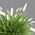 Pennisetum setaceum Grass: Lifelike Decorative Ornamental Foliage 3D model small image 3