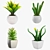 Lush Indoor Greenery Set 3D model small image 1