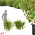 Vibrant Redcurrant Bushes: Perfect for Your Garden! 3D model small image 1