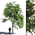 Serene Rowanberry 3D Model 3D model small image 1